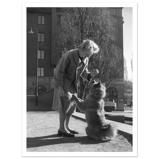 00f659bc-90e3-49bf-a1f3-2bd7f36c9c13