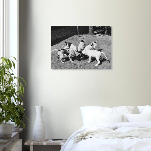 04667bec-aae1-4c4f-bf37-5444378b6a5b