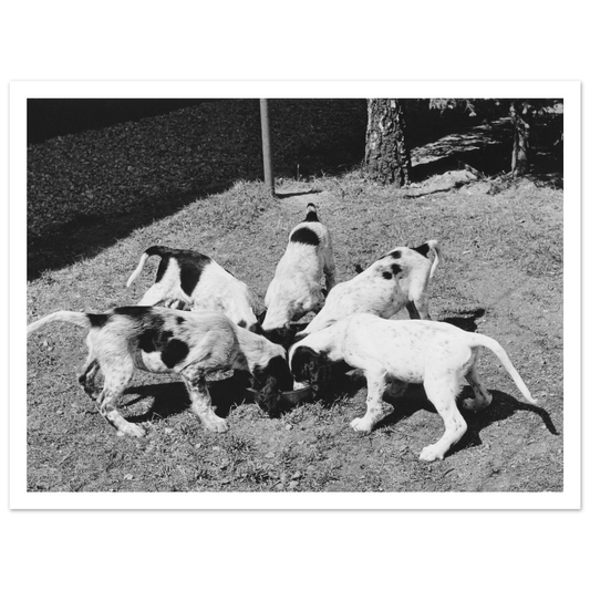 35694758-b91a-4cc2-8df2-ee0001c52b28