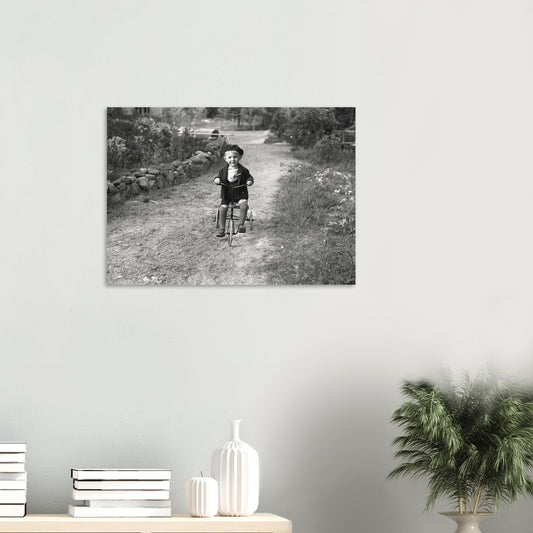 5e580886-d870-47b0-80d6-a008ed15cd68