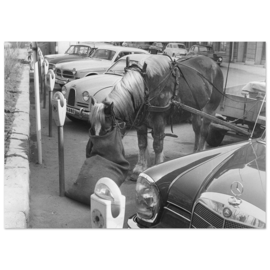 68ec4fbc-5609-4535-b4dd-45f9995ba46a