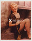 Marilyn Monroe collectible photograph