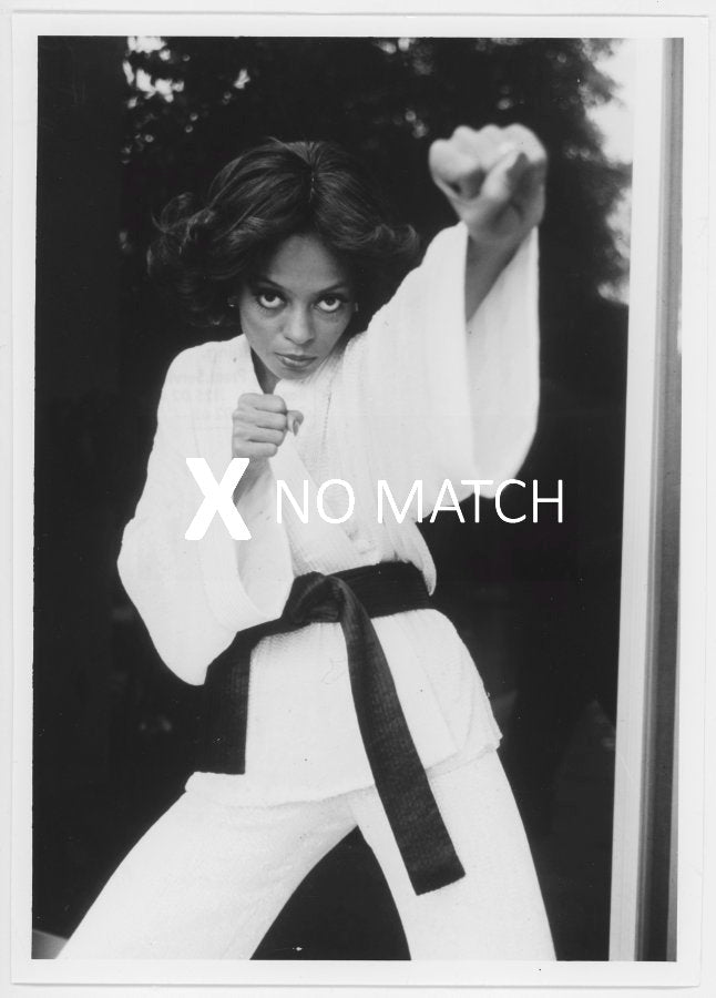 Diana Ross vintage collectible photograph