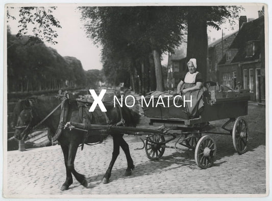 Vintage 1930s 1940s photograph of a horse and carriage.