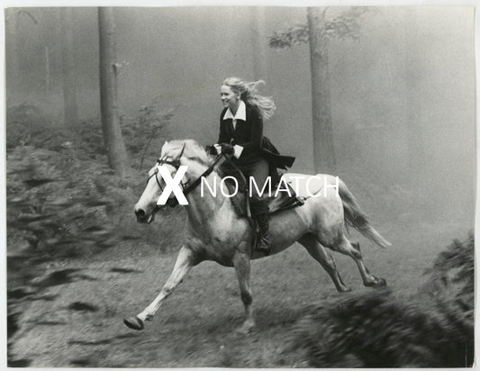 Liv Ullman vintage collectible photograph